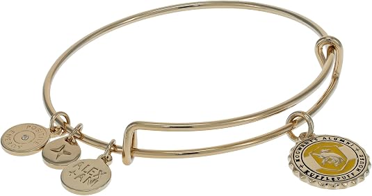 Harry Potter Hufflepuff House Charm Bangle